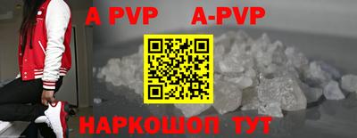 круглые Кингисепп