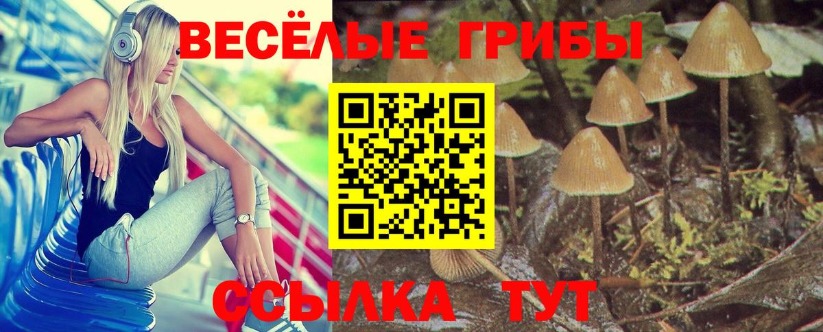 Галлюциногенные грибы мухоморы Коряжма