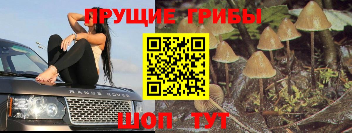 Псилоцибиновые грибы ЛСД  Вход с VPN  Коряжма 