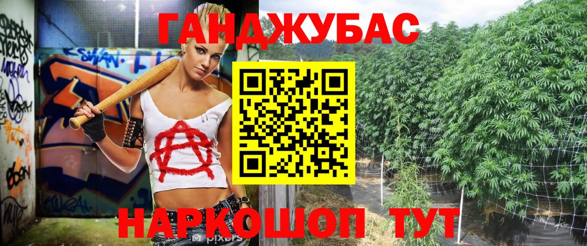 Бошки марихуана конопля Коряжма